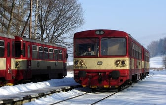 810 388-9