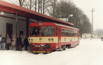 810 309-5