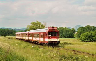 843 006-8