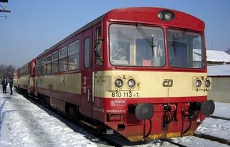 810 113-1