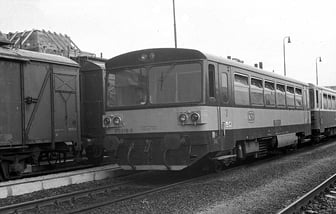 810 019-0