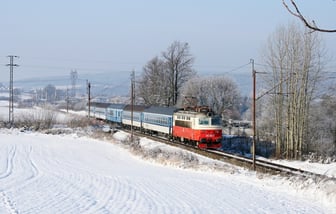 242 213-7
