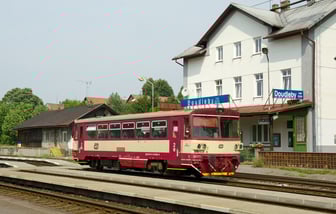 810 039-8