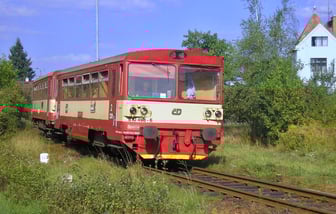 810 498-6