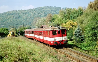831 217-5