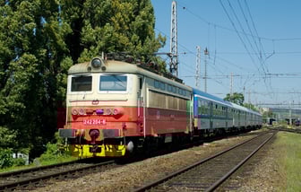 242 204-6