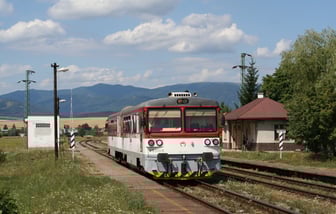 813 010-0