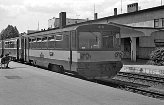 810 253-5