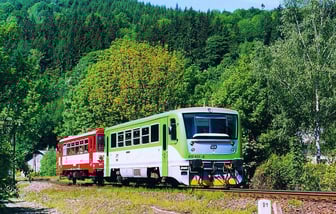 812 613-8