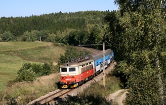 242 217-8