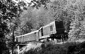 721 196-4