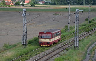 810 590-0