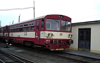 810 010-9