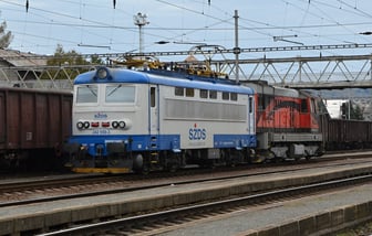 242 559-3