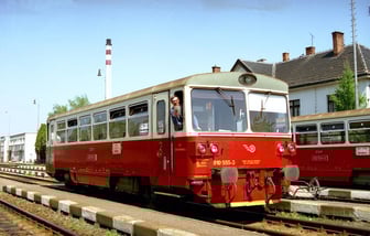 810 555-3