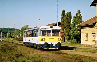810 198-2
