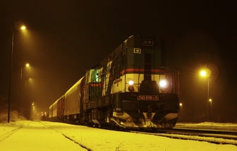 743 010-1
