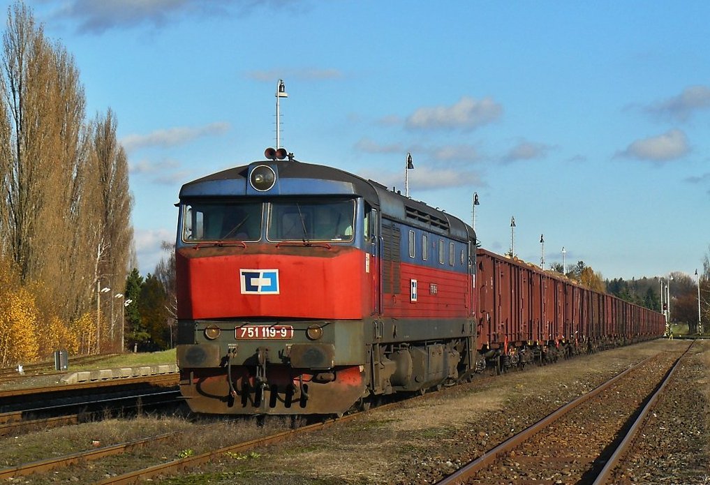 751 119-9