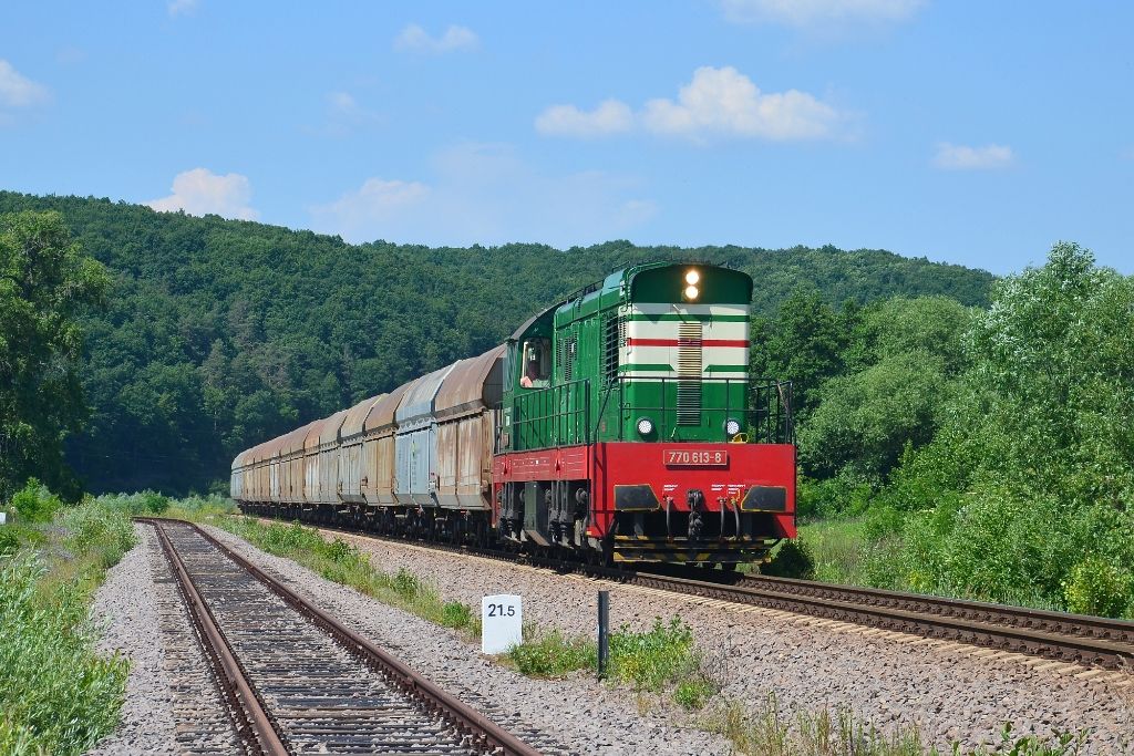 770 613-8