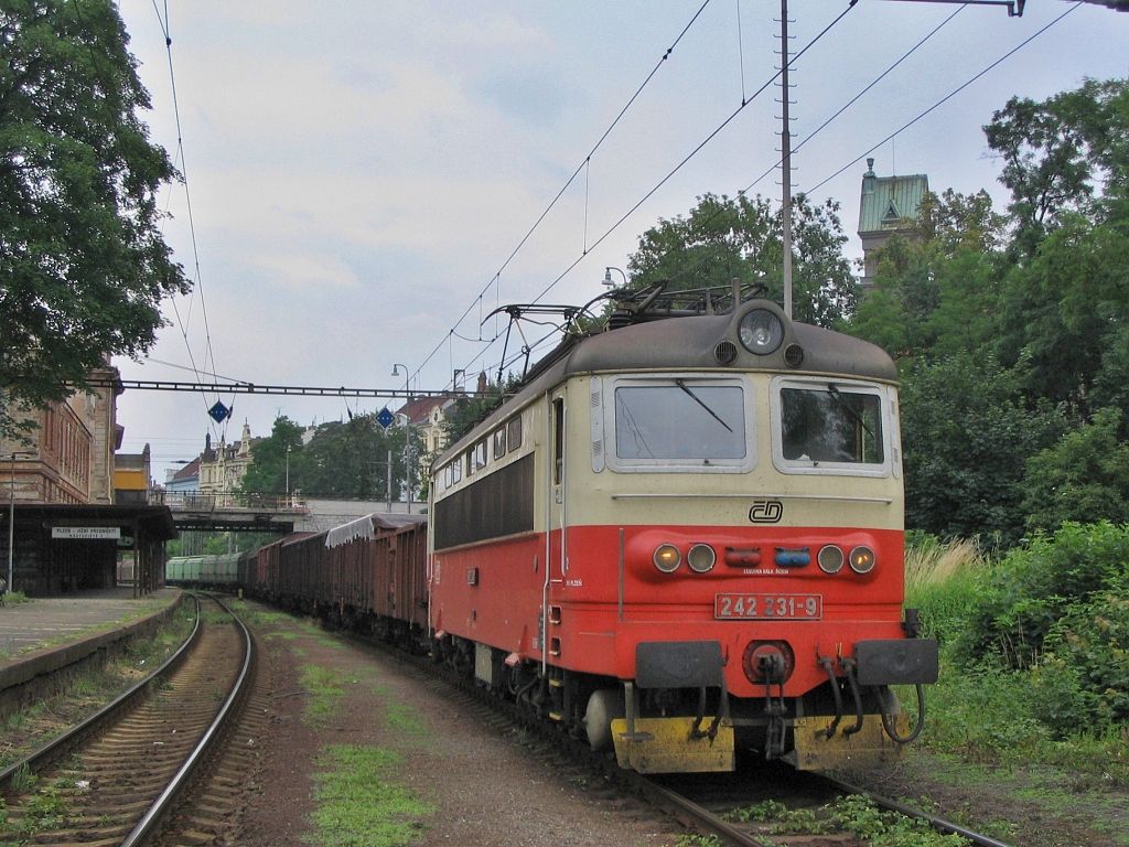 242 231-9