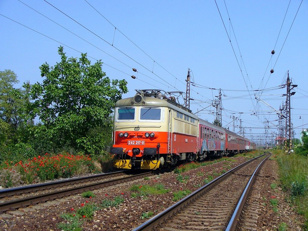 242 217-8