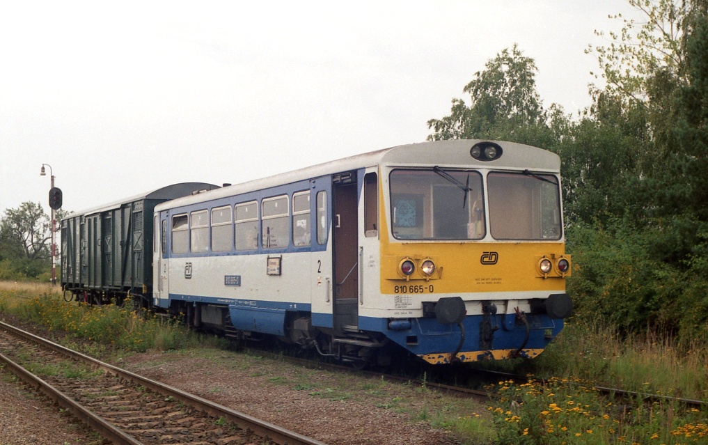 810 665-0