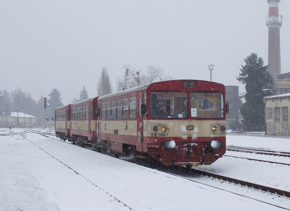 810 394-7