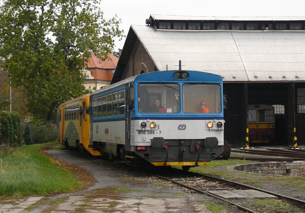 810 394-7