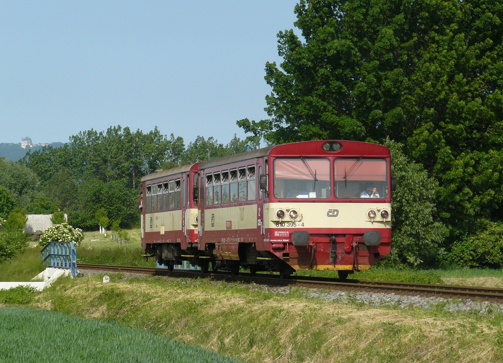 810 395-4