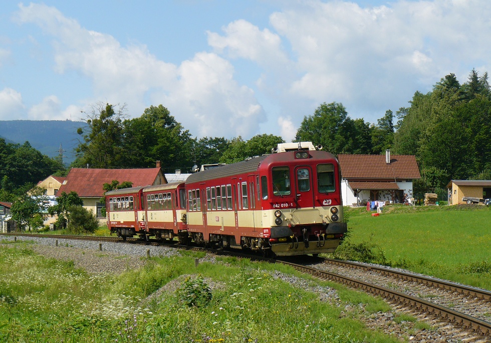 842 010-1
