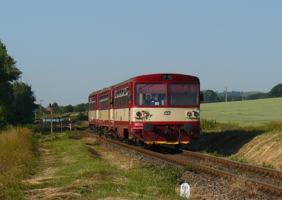 810 467-1