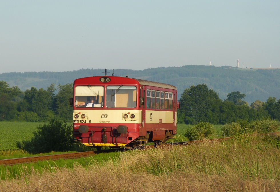 810 524-9