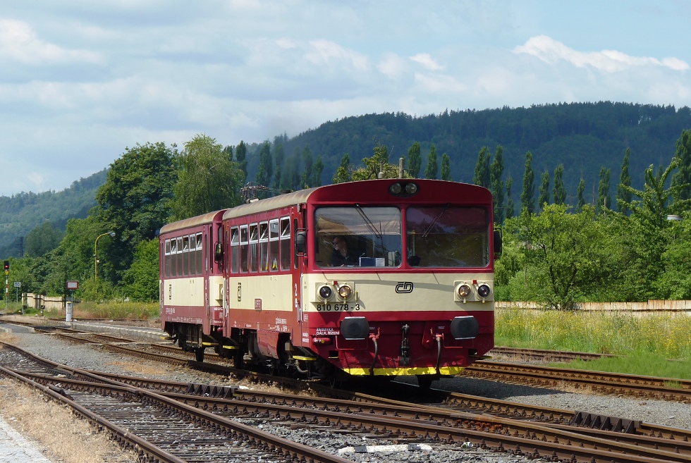 810 678-3