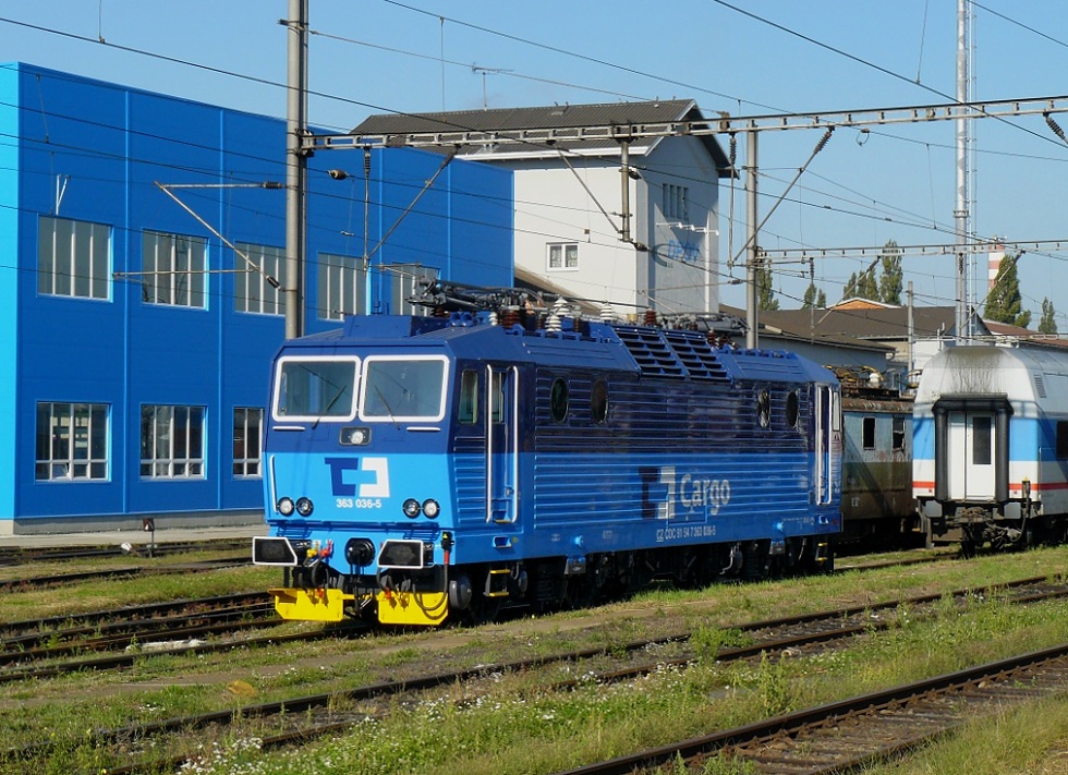 363 036-5