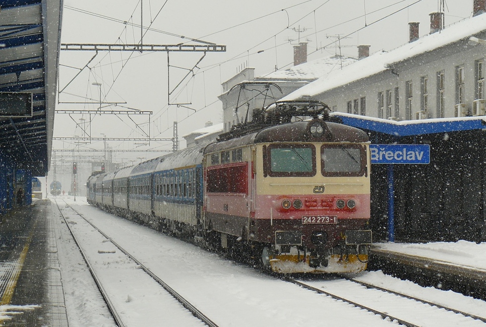 242 273-1