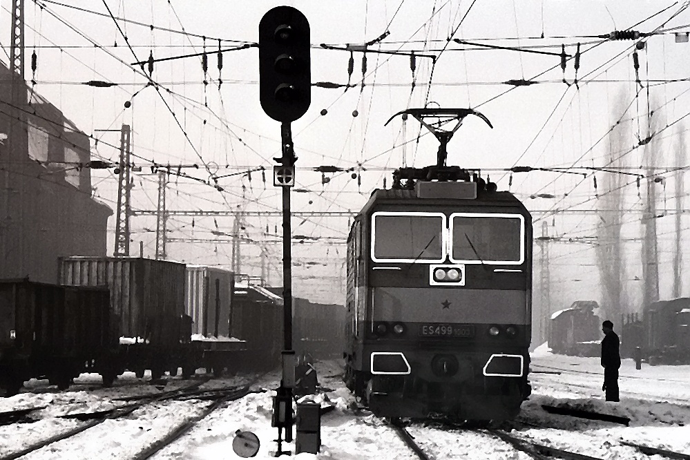ES499.1003