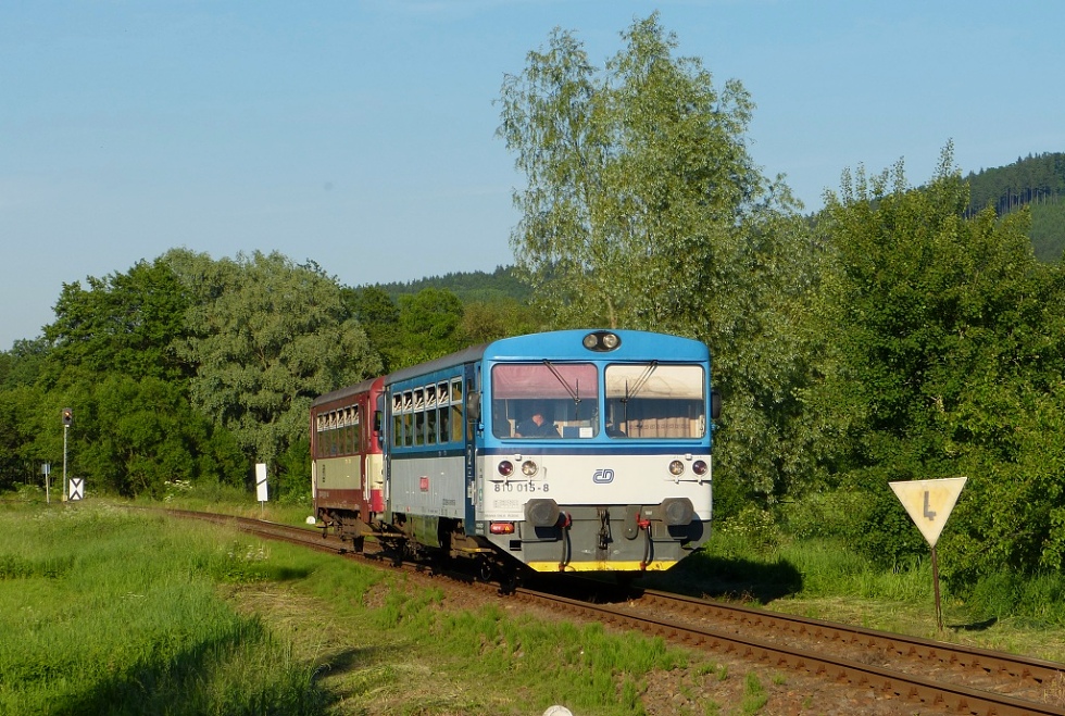 810 015-8