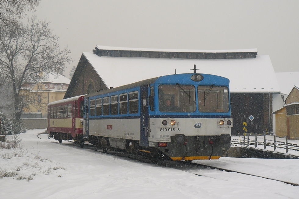 810 015-8