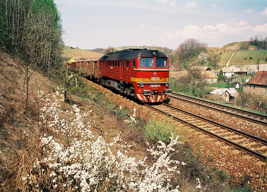 781 359-5