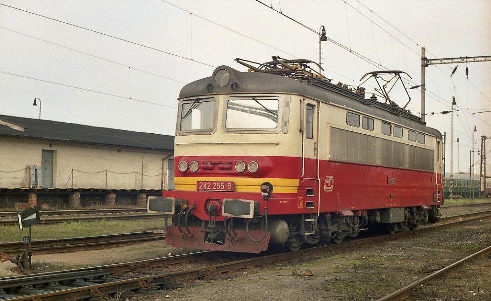 242 255-8