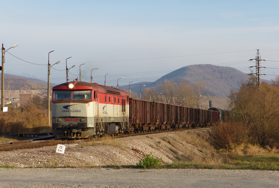 751 118-1