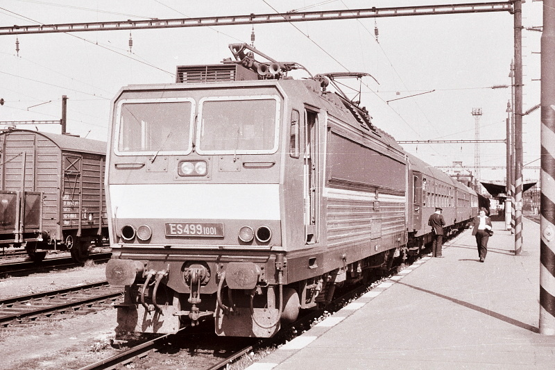 ES499.1001