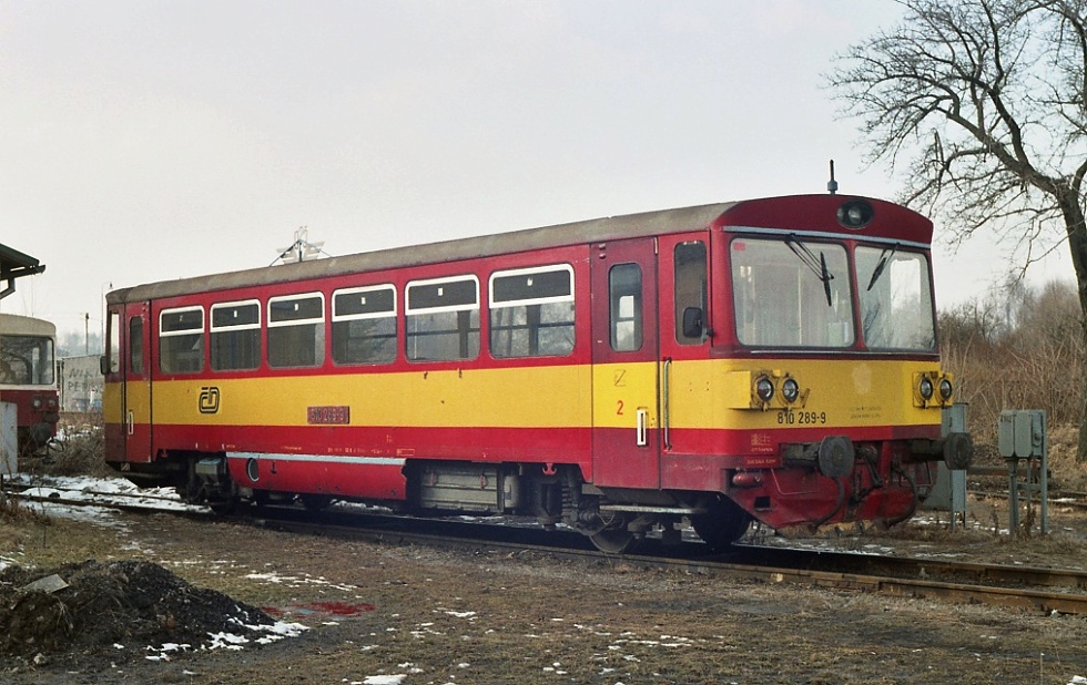 810 289-9
