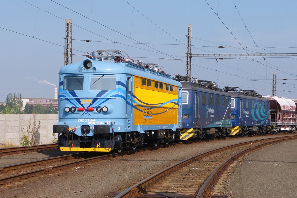 242 219-4