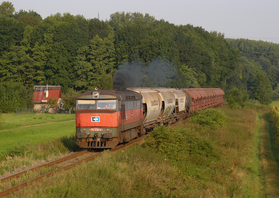 751 338-5