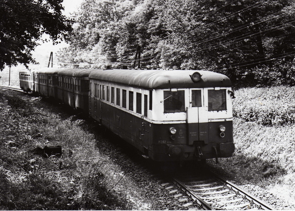 M262.0235