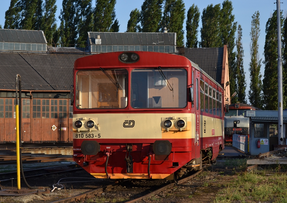 810 583-5