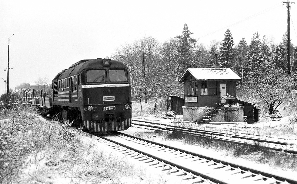 781 441-1
