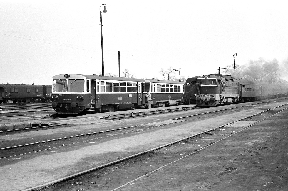 810 149-5