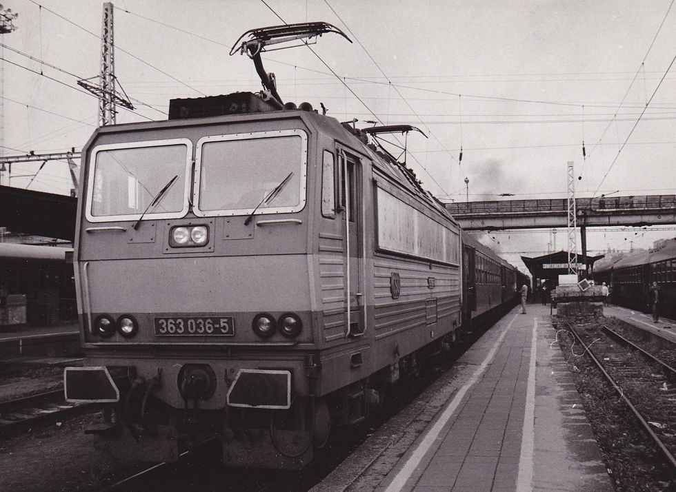 363 036-5